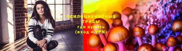 амф Аркадак