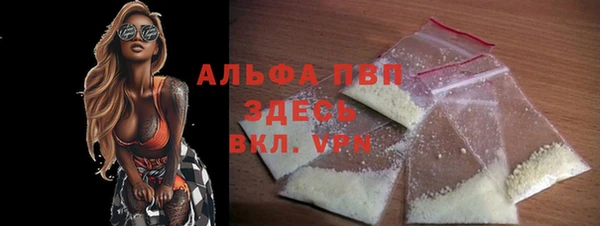 хмурый Осинники