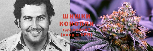 хмурый Осинники