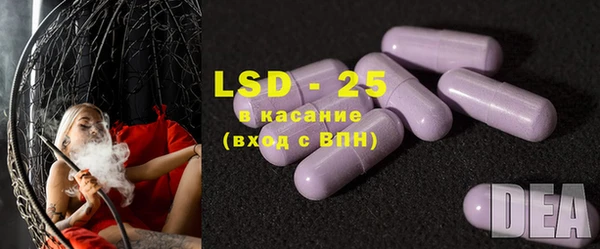 хмурый Осинники