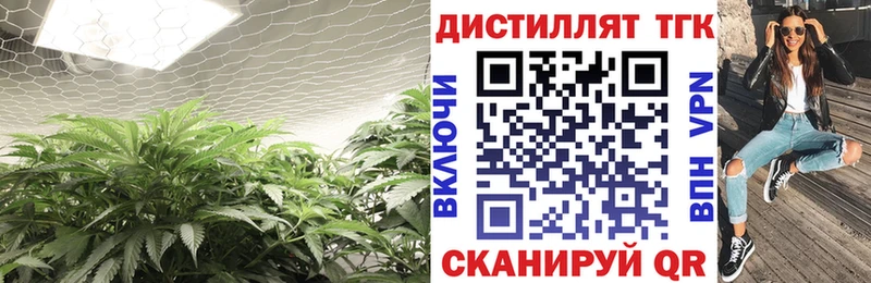 кракен маркетплейс  Дивногорск  Дистиллят ТГК гашишное масло 