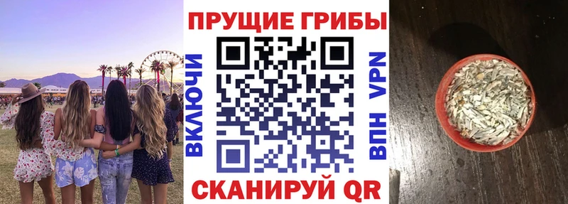 Галлюциногенные грибы GOLDEN TEACHER  Дивногорск 